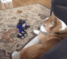 女汉子与软妹子的区别！看完竟然发出杠铃般的笑声哈哈哈哈哈哈哈哈哈哈哈哈哈