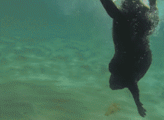 女汉子与软妹子的区别！看完竟然发出杠铃般的笑声哈哈哈哈哈哈哈哈哈哈哈哈哈