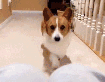 女汉子与软妹子的区别！看完竟然发出杠铃般的笑声哈哈哈哈哈哈哈哈哈哈哈哈哈