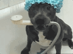 女汉子与软妹子的区别！看完竟然发出杠铃般的笑声哈哈哈哈哈哈哈哈哈哈哈哈哈