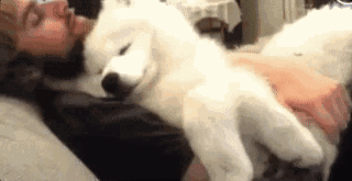 女汉子与软妹子的区别！看完竟然发出杠铃般的笑声哈哈哈哈哈哈哈哈哈哈哈哈哈