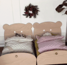 女汉子与软妹子的区别！看完竟然发出杠铃般的笑声哈哈哈哈哈哈哈哈哈哈哈哈哈