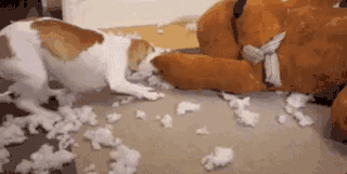 女汉子与软妹子的区别！看完竟然发出杠铃般的笑声哈哈哈哈哈哈哈哈哈哈哈哈哈