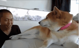 女汉子与软妹子的区别！看完竟然发出杠铃般的笑声哈哈哈哈哈哈哈哈哈哈哈哈哈