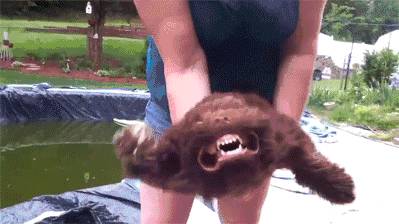 女汉子与软妹子的区别！看完竟然发出杠铃般的笑声哈哈哈哈哈哈哈哈哈哈哈哈哈