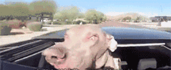 女汉子与软妹子的区别！看完竟然发出杠铃般的笑声哈哈哈哈哈哈哈哈哈哈哈哈哈