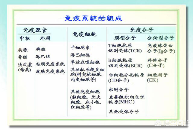 宝宝反复湿疹怎么办？弄清楚这6个问题，湿疹不再纠缠