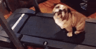 女汉子与软妹子的区别！看完竟然发出杠铃般的笑声哈哈哈哈哈哈哈哈哈哈哈哈哈