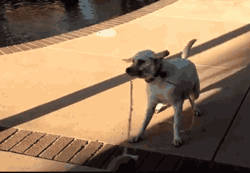 女汉子与软妹子的区别！看完竟然发出杠铃般的笑声哈哈哈哈哈哈哈哈哈哈哈哈哈