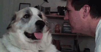 女汉子与软妹子的区别！看完竟然发出杠铃般的笑声哈哈哈哈哈哈哈哈哈哈哈哈哈