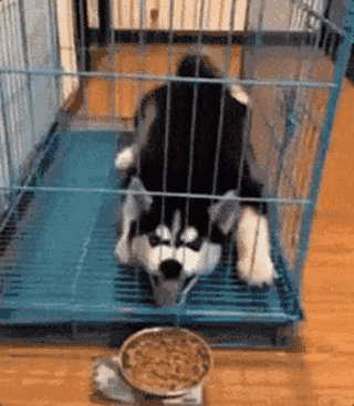 女汉子与软妹子的区别！看完竟然发出杠铃般的笑声哈哈哈哈哈哈哈哈哈哈哈哈哈