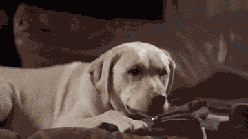 女汉子与软妹子的区别！看完竟然发出杠铃般的笑声哈哈哈哈哈哈哈哈哈哈哈哈哈