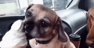 女汉子与软妹子的区别！看完竟然发出杠铃般的笑声哈哈哈哈哈哈哈哈哈哈哈哈哈