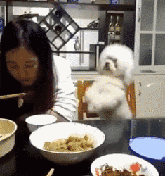 女汉子与软妹子的区别！看完竟然发出杠铃般的笑声哈哈哈哈哈哈哈哈哈哈哈哈哈