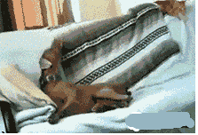 女汉子与软妹子的区别！看完竟然发出杠铃般的笑声哈哈哈哈哈哈哈哈哈哈哈哈哈