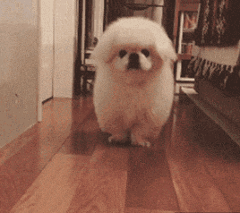 女汉子与软妹子的区别！看完竟然发出杠铃般的笑声哈哈哈哈哈哈哈哈哈哈哈哈哈