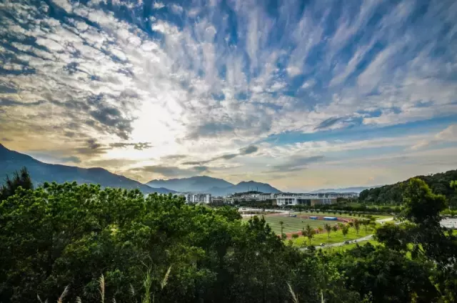 2017准福大人关注！福州大学2017年部分录取分数陆续出炉！