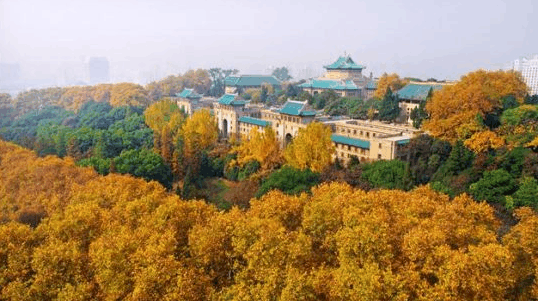 2017年武汉大学高考录取分数飙升，真正原因是什么？