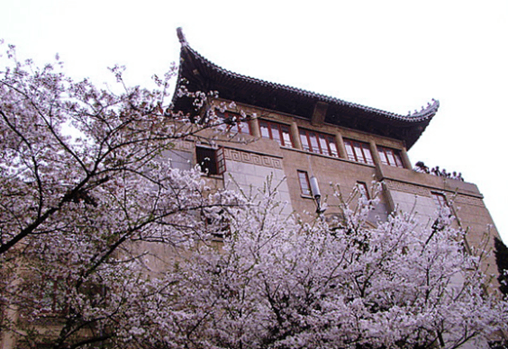 2017年武汉大学高考录取分数飙升，真正原因是什么？