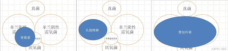 地上最强抗生素竟然是以前被淘汰的抗生素衍生而来，效果强到没对手，连身体寄生的正常细菌也不放过