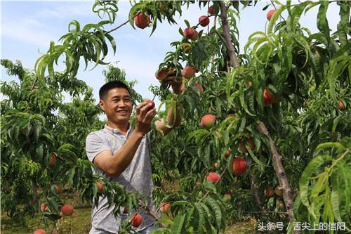 两个清华一个北大再加上两个空军飞行员，光山这个小乡镇的高考成绩太火了！