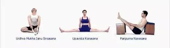 知道这些，你会更了解艾扬格瑜伽（附36个经典艾扬格瑜伽体式）