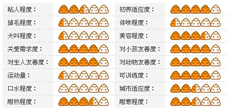 宠物犬价格及性格大分析图《三》