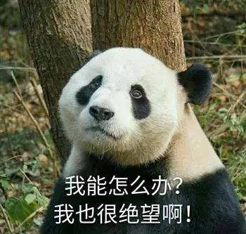 福利！2017年已经过半，你是不是还有一件大事没做完？赶紧来这里