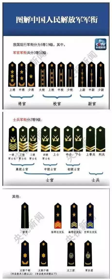 4張圖,讓你看肩章識軍銜