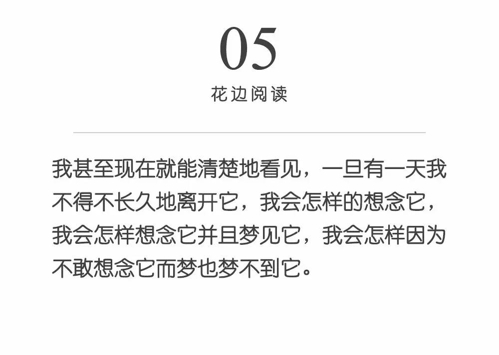 有些感情，不能说不能想，却又不能忘｜史铁生