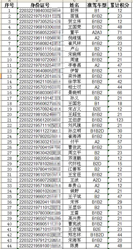 四平市驾驶证查询,四平市驾驶证查询系统