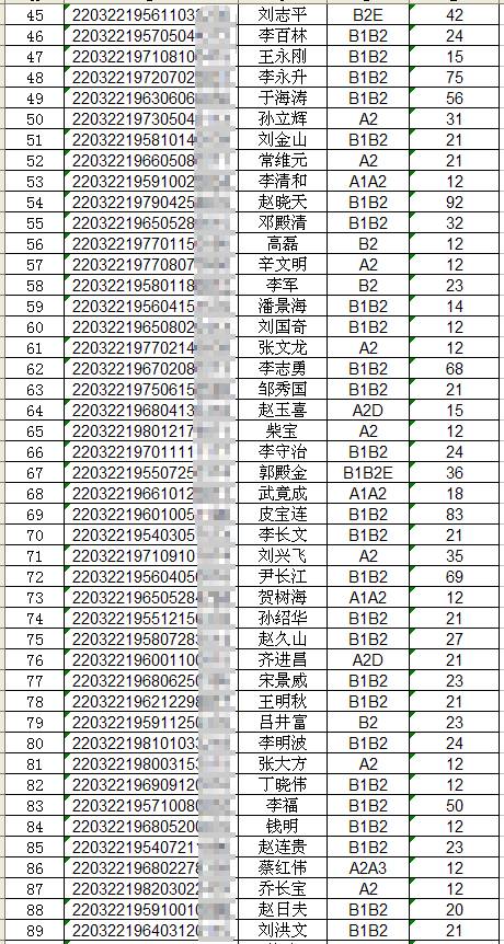 四平市驾驶证查询,四平市驾驶证查询系统