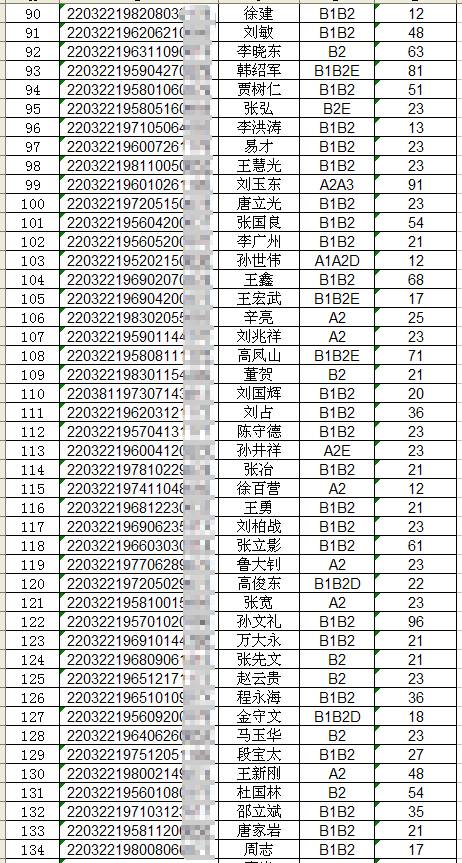 四平市驾驶证查询,四平市驾驶证查询系统