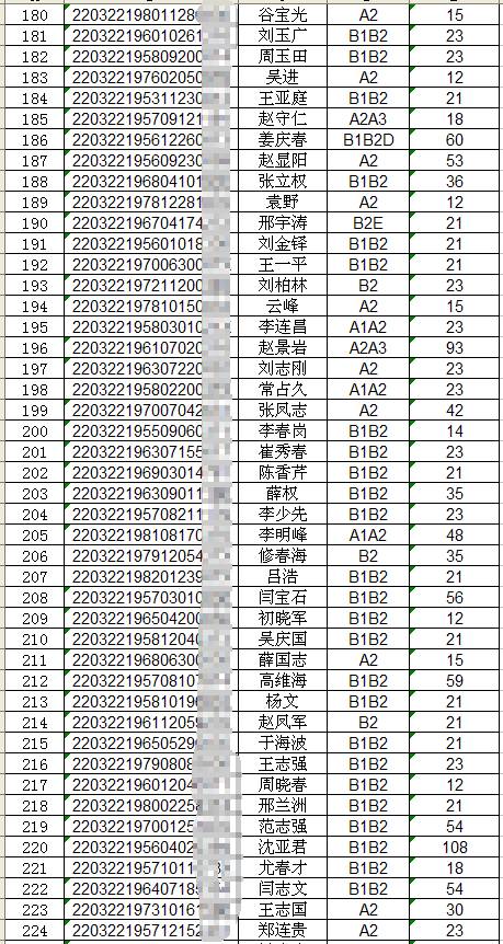 四平市驾驶证查询,四平市驾驶证查询系统