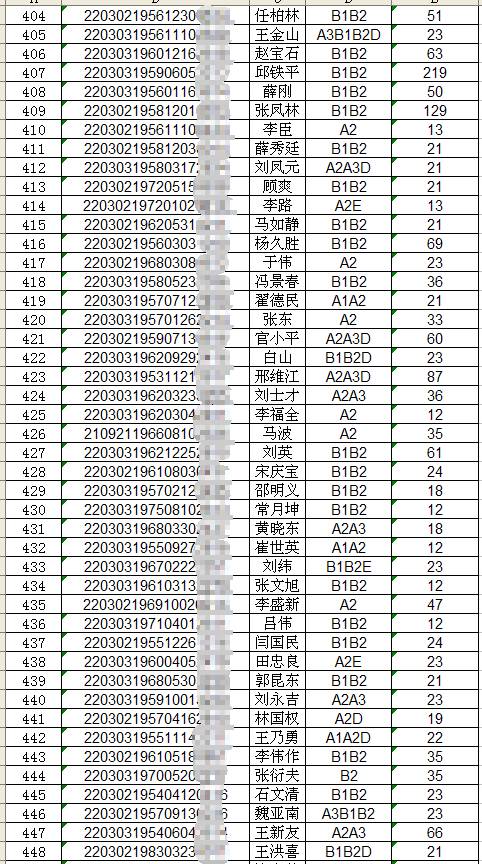 四平市驾驶证查询,四平市驾驶证查询系统