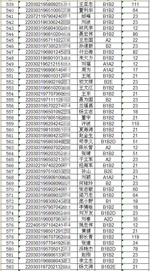 四平市驾驶证查询,四平市驾驶证查询系统