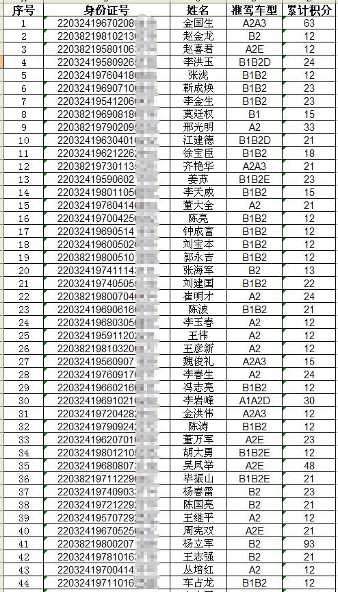 四平市驾驶证查询,四平市驾驶证查询系统