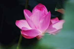 广播精选｜看了中国有嘻哈，温习了不少儿歌