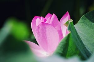 广播精选｜看了中国有嘻哈，温习了不少儿歌