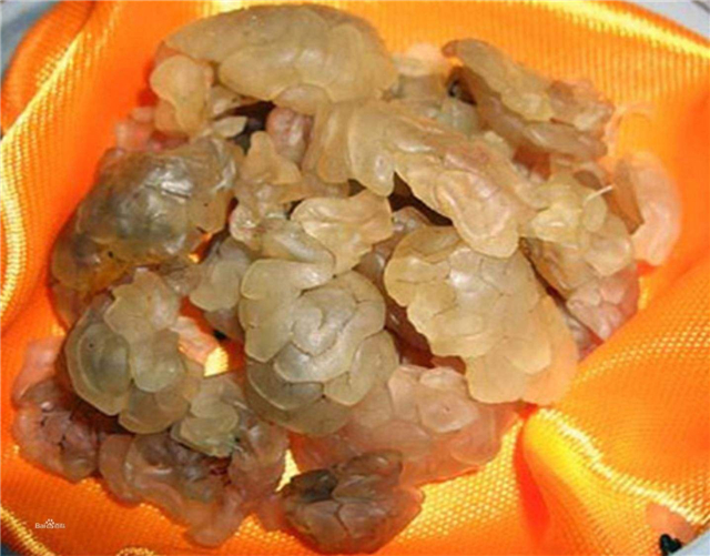 蛤蟆油的功效与作用 蛤蟆油怎么吃好