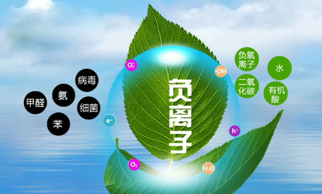 室内除甲醛怎么收费的专业7