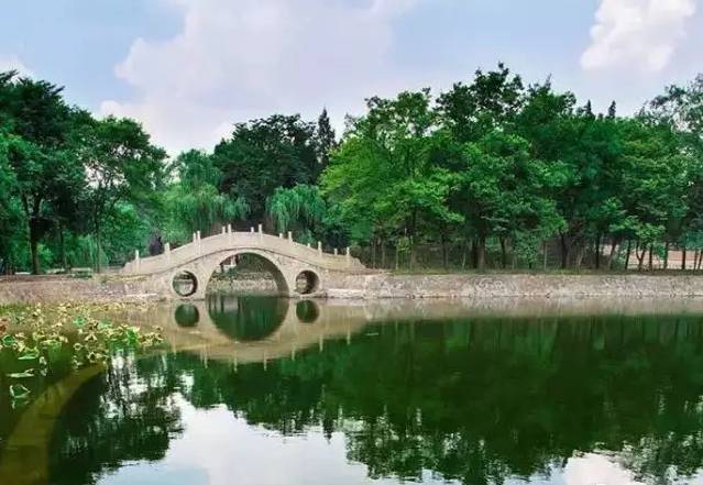 南理工，一个连超市大妈都很牛的地方！