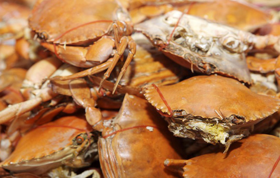 螃蟹怎么洗干净去内脏，清洗螃蟹的三大步骤？