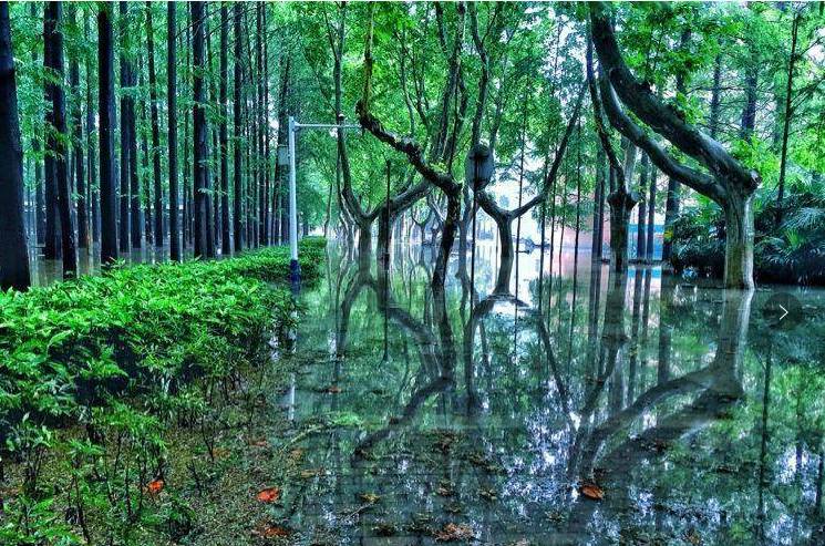 南理工，一个连超市大妈都很牛的地方！