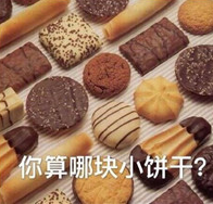 你算哪块小饼干什么梗 你算哪块小饼干是什么意思
