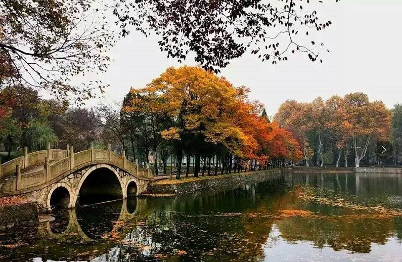 南理工，一个连超市大妈都很牛的地方！