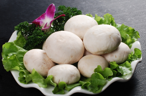 口蘑怎么挑选 口蘑有毒吗