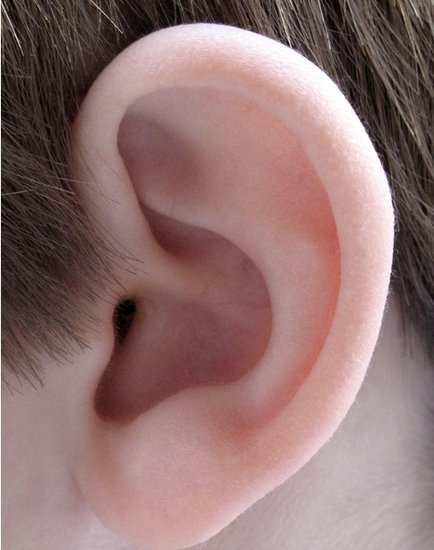 耳垂大的人什么命运 有商业头脑且财运不错_达一风水网