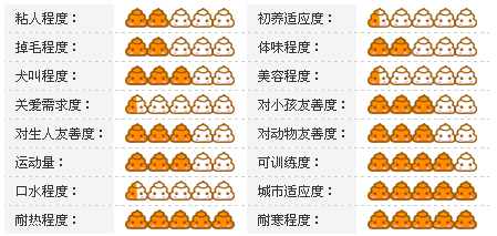 宠物犬价格及性格大分析图《三》