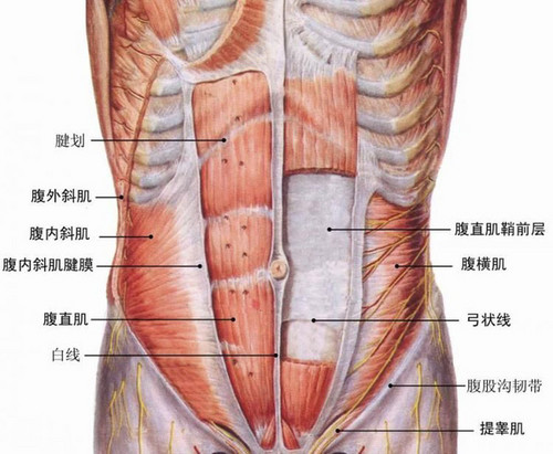 練不出腹肌？換用這套虐腹計劃輕松一個月練出6塊腹肌來！